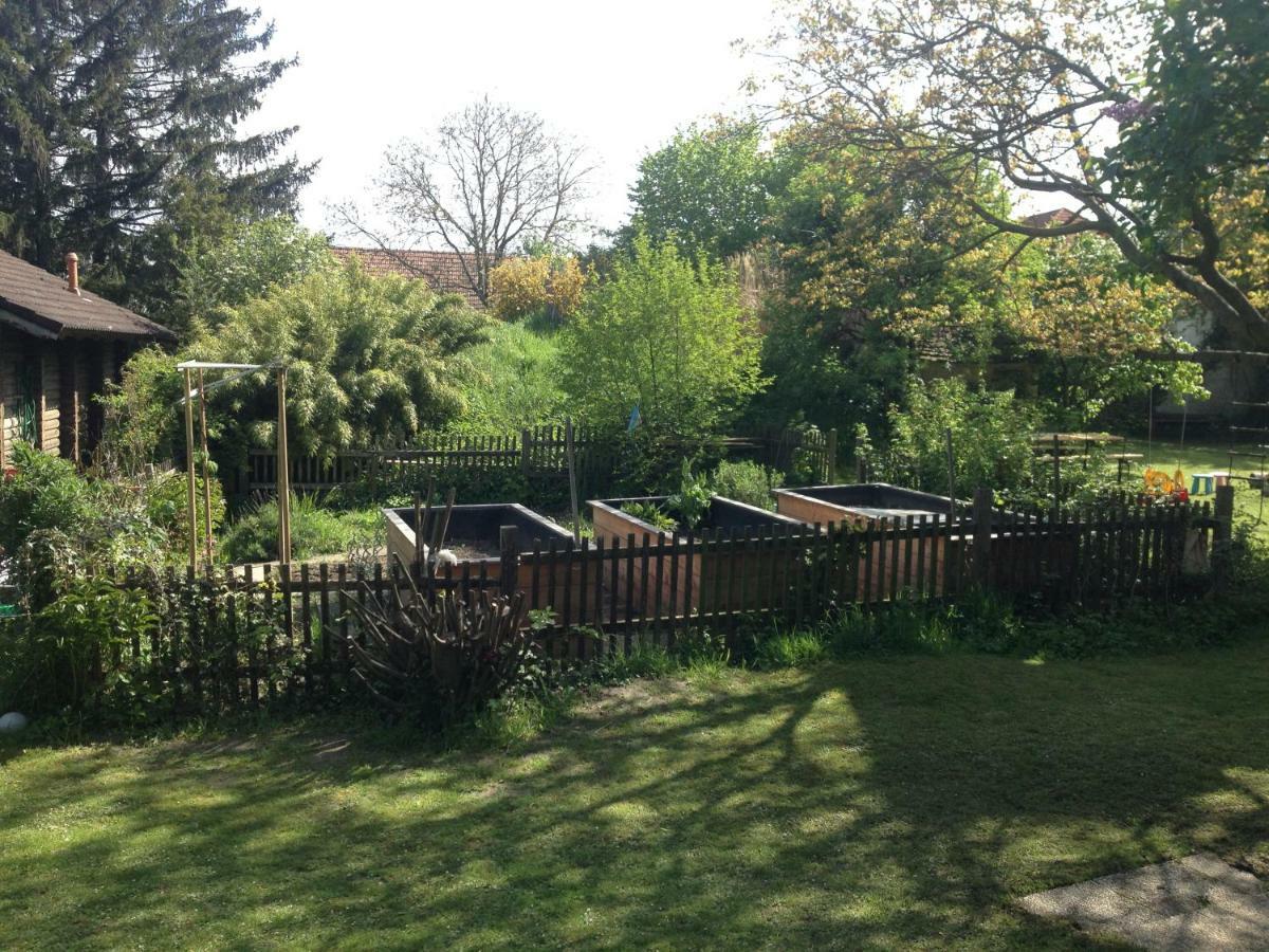 Gemuetliche Blockhuette In Wiennaehe Zofing Bagian luar foto